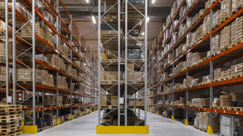 Axla_120924-4306 (1)